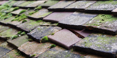 Disley roof repair costs